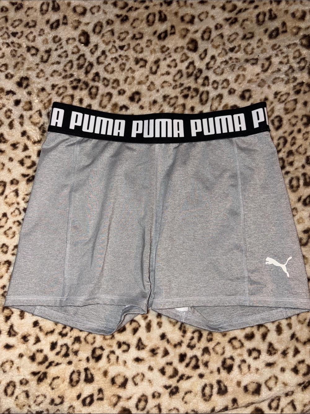 Puma Gray Shorts